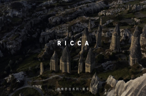 里卡 | 原始質(zhì)感，構筑空間層次